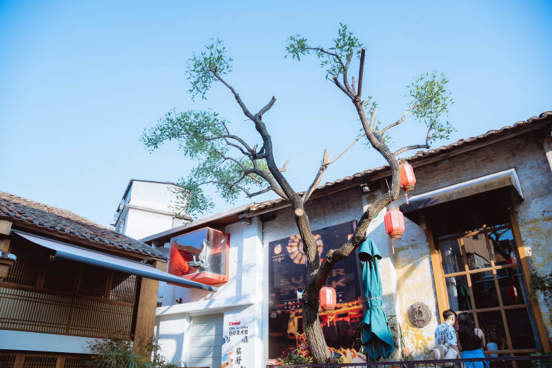 惠州古巷树影映红灯图片