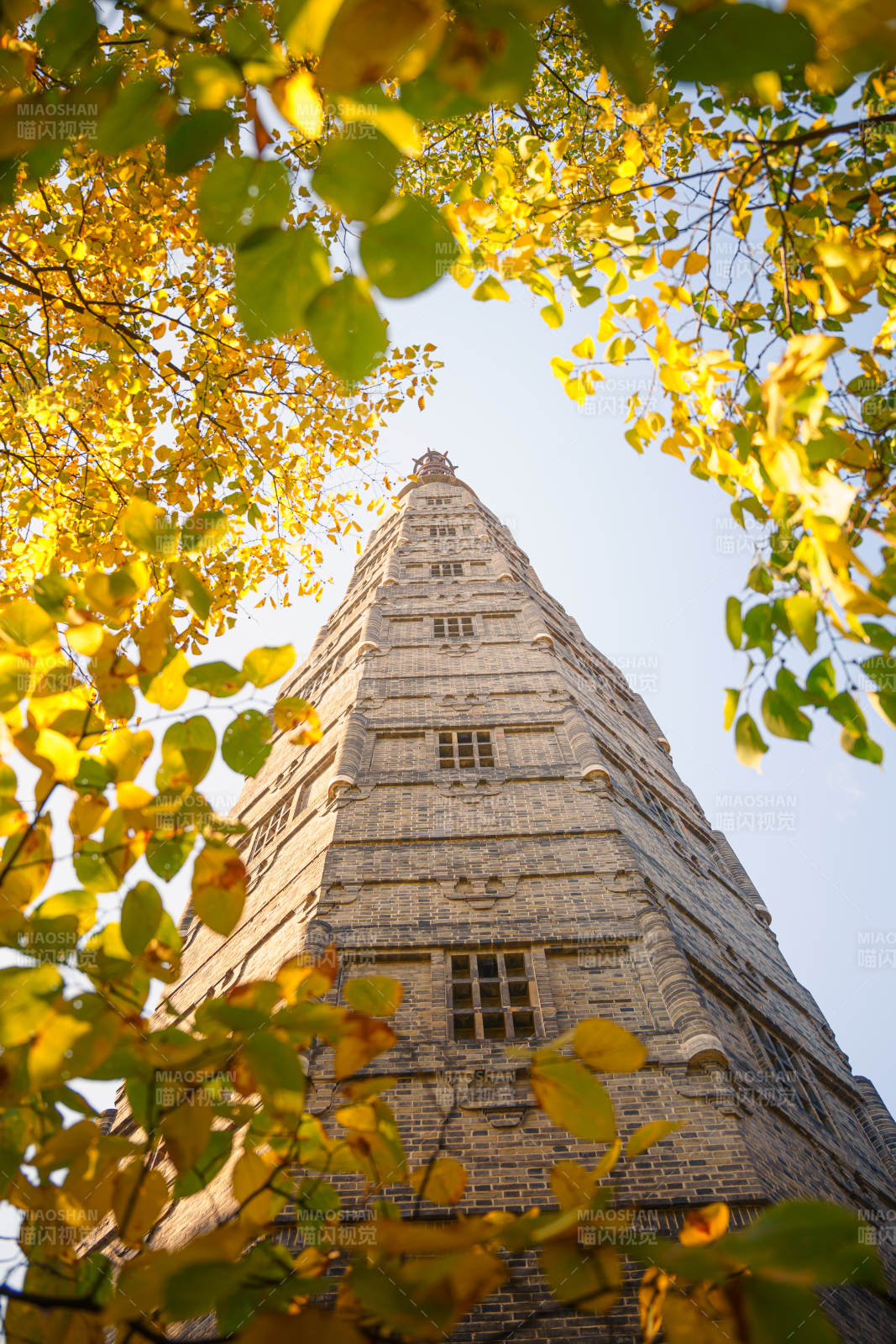 杭州保俶塔秋叶映塔影图片