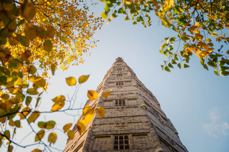 杭州保俶塔秋叶映塔影图片