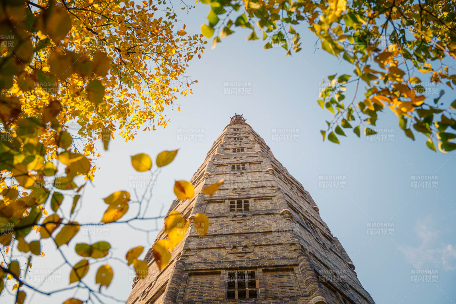 杭州保俶塔秋叶映塔影图片