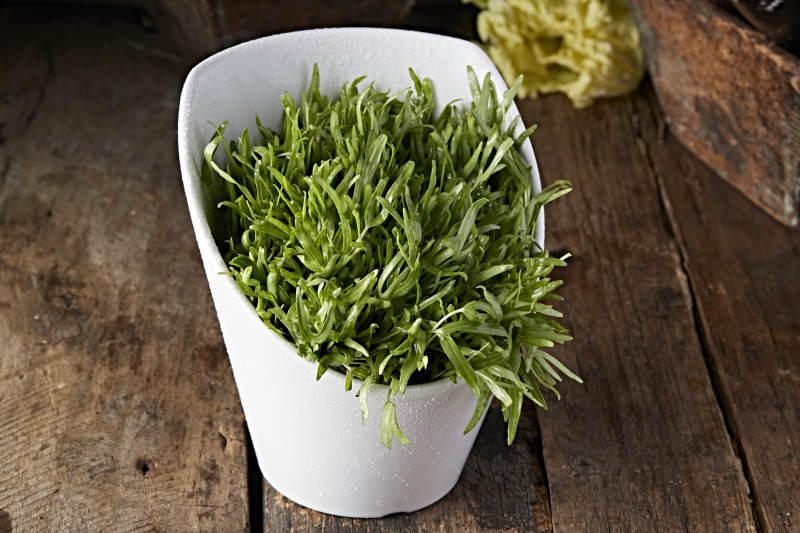 火锅食材空心豆苗图片