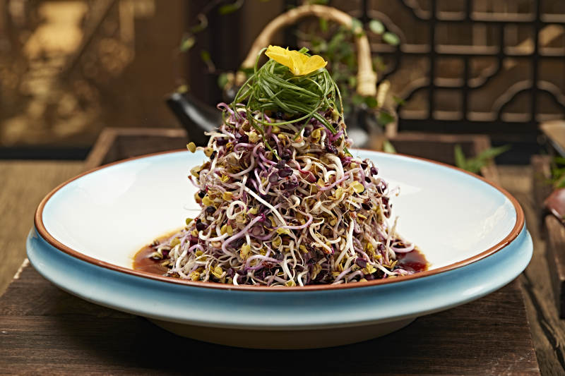 香醋凉拌萝卜苗图片