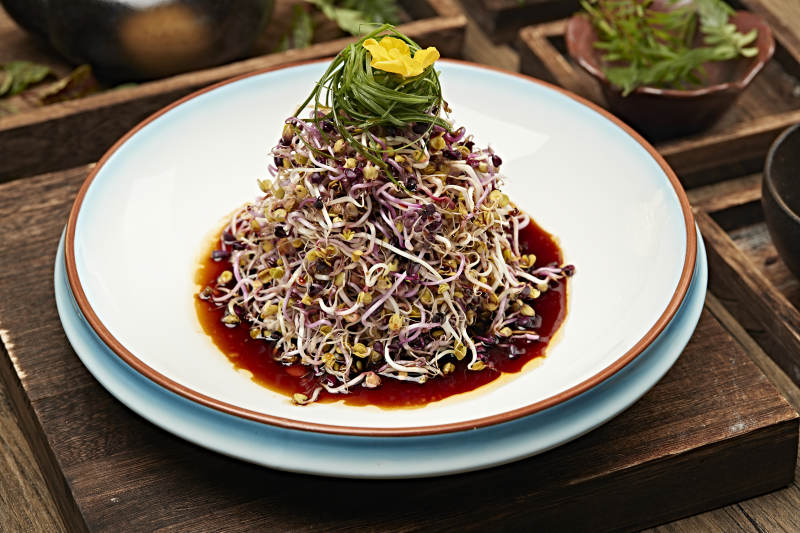 香醋凉拌萝卜苗图片