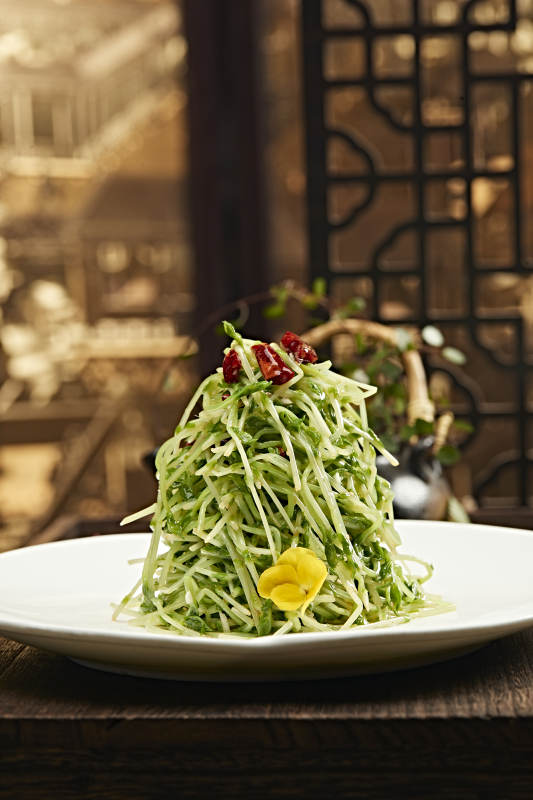 清新豆芽沙拉图片