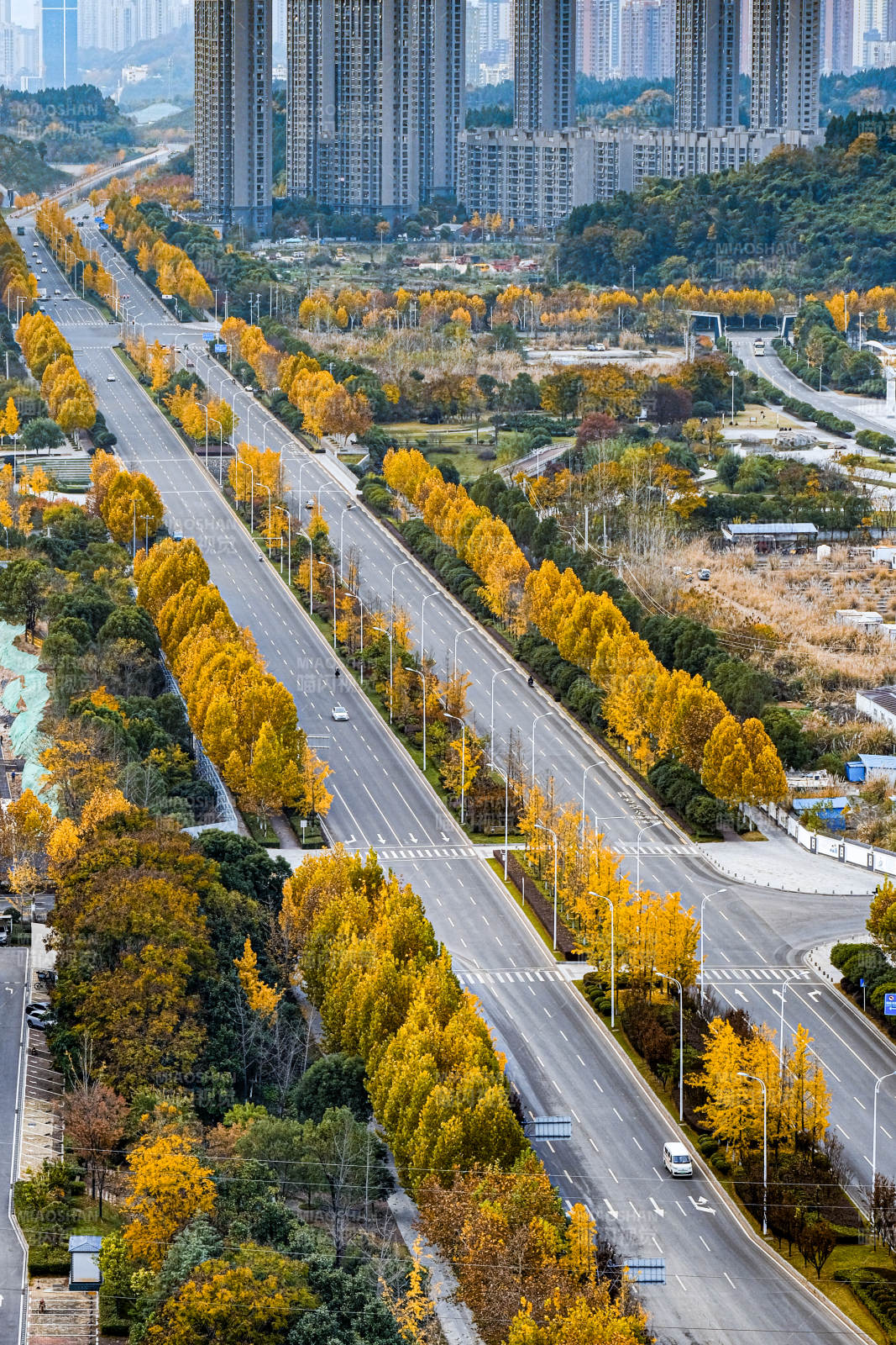 宜昌市花溪路秋色大道图片