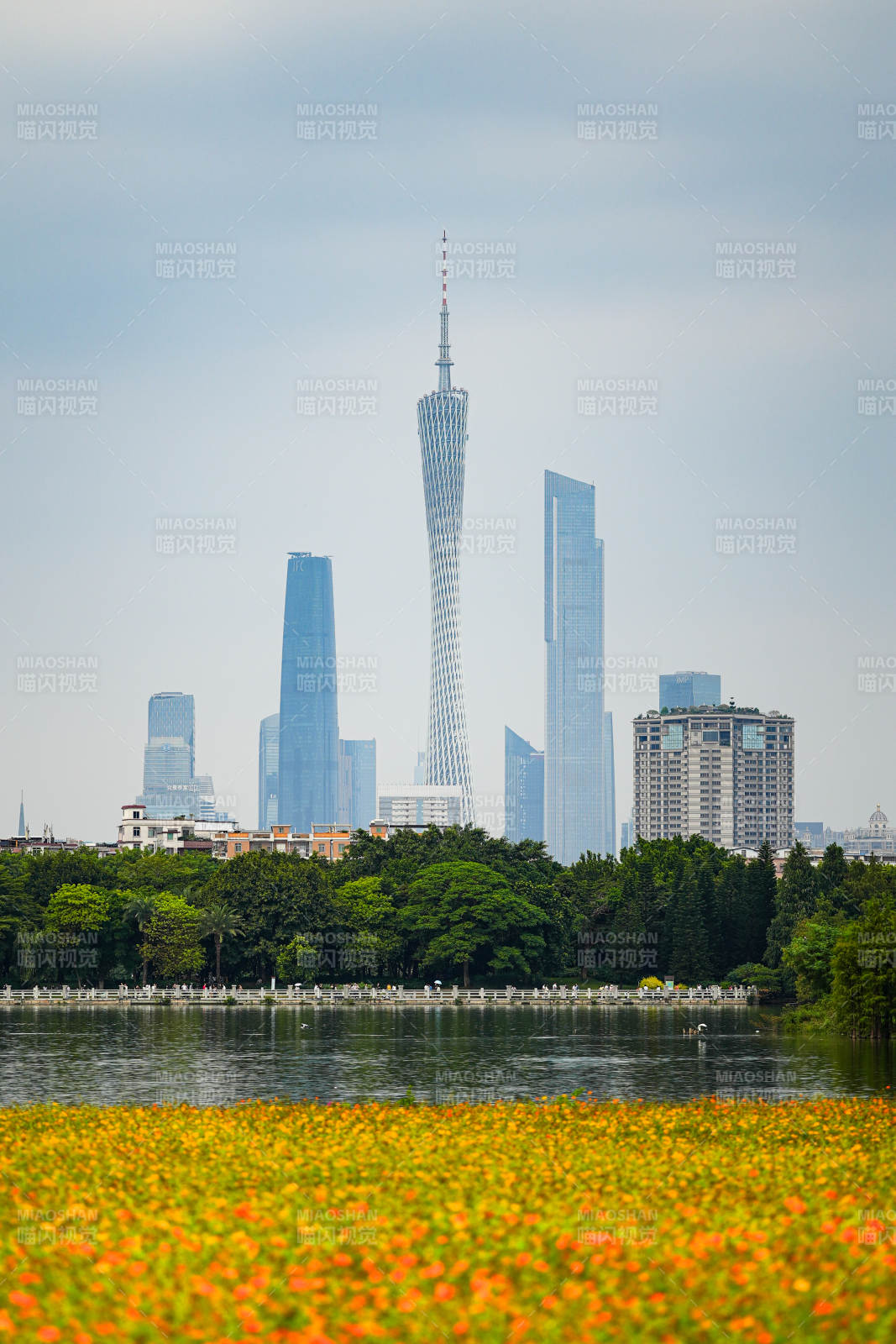 广州塔畔花海如画图片