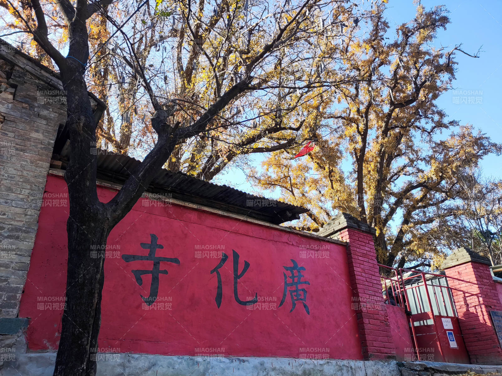 广化寺秋景图片