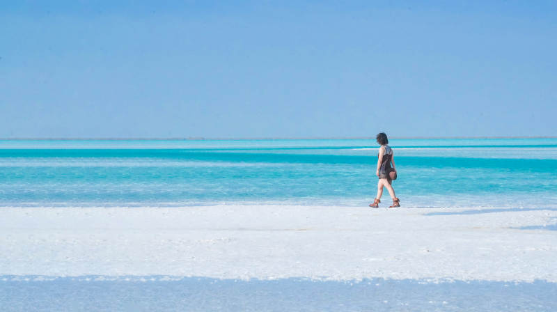 东台及乃尔盐湖边漫步独行图片