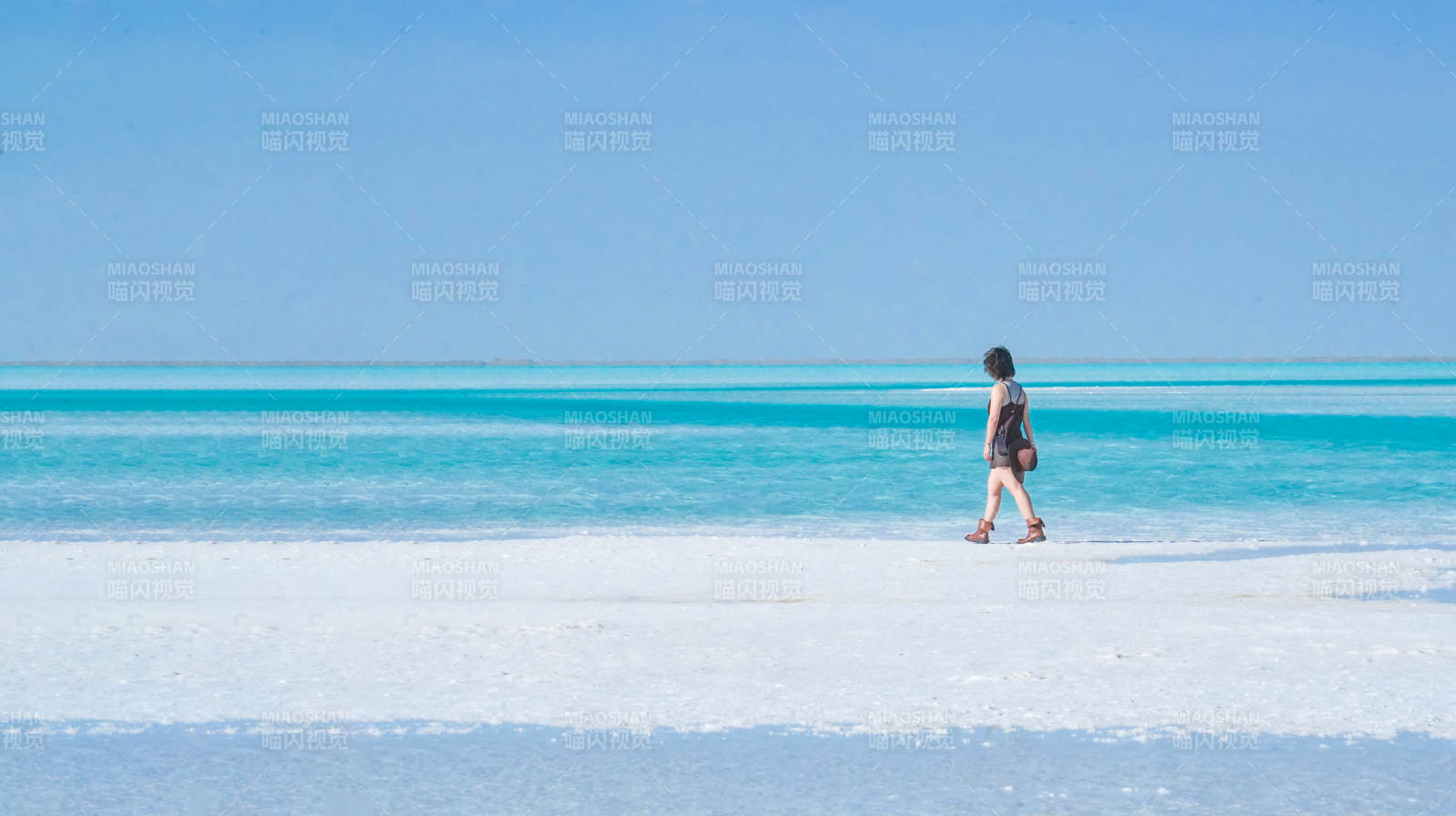 东台及乃尔盐湖边漫步独行图片