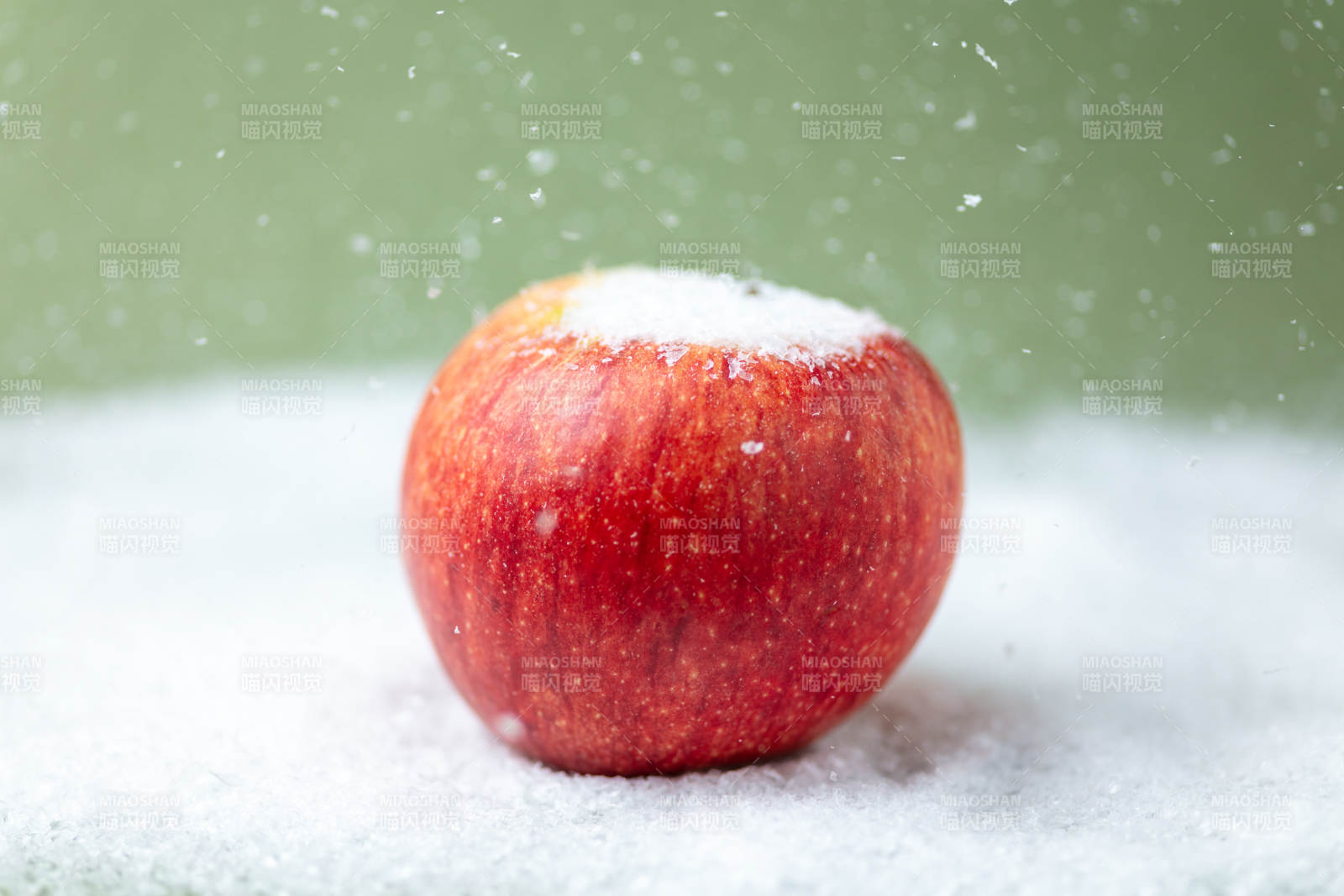 雪中红苹果图片