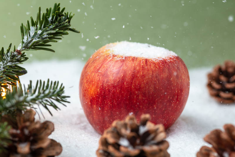 雪中红苹果图片