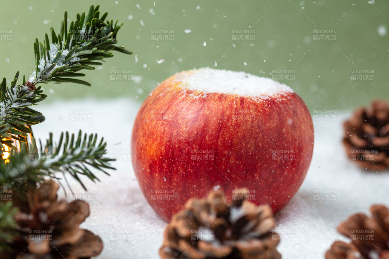 雪中红苹果图片