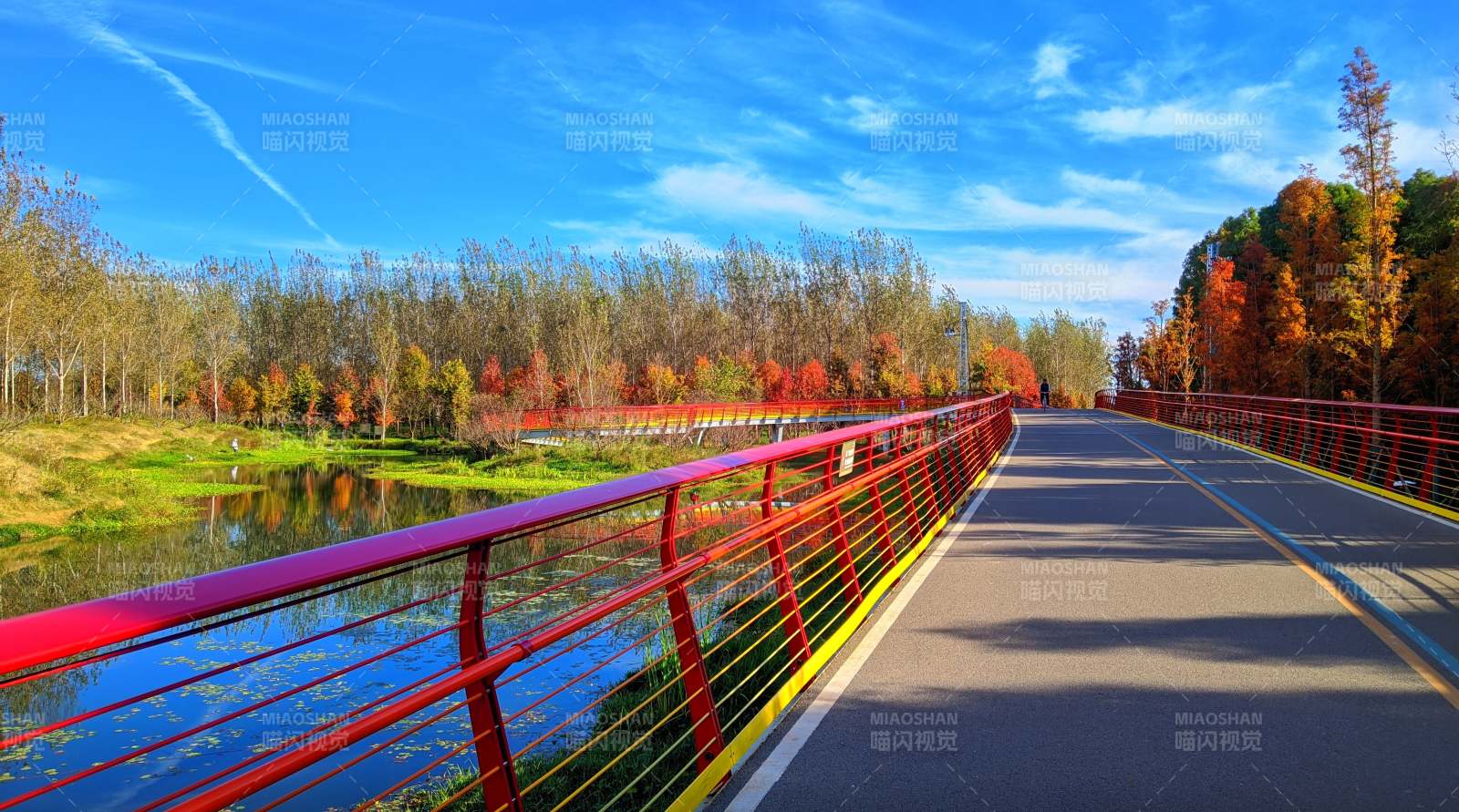 昆明滇池绿道水之桥秋日美景图片