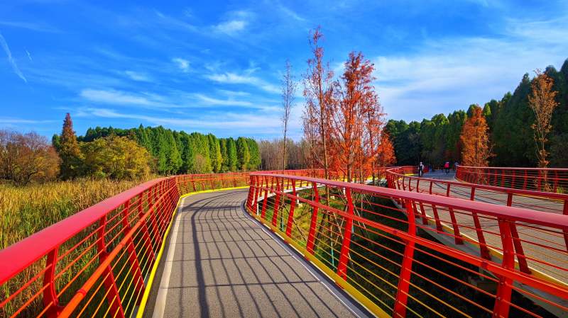 昆明滇池绿道水之桥秋日美景图片