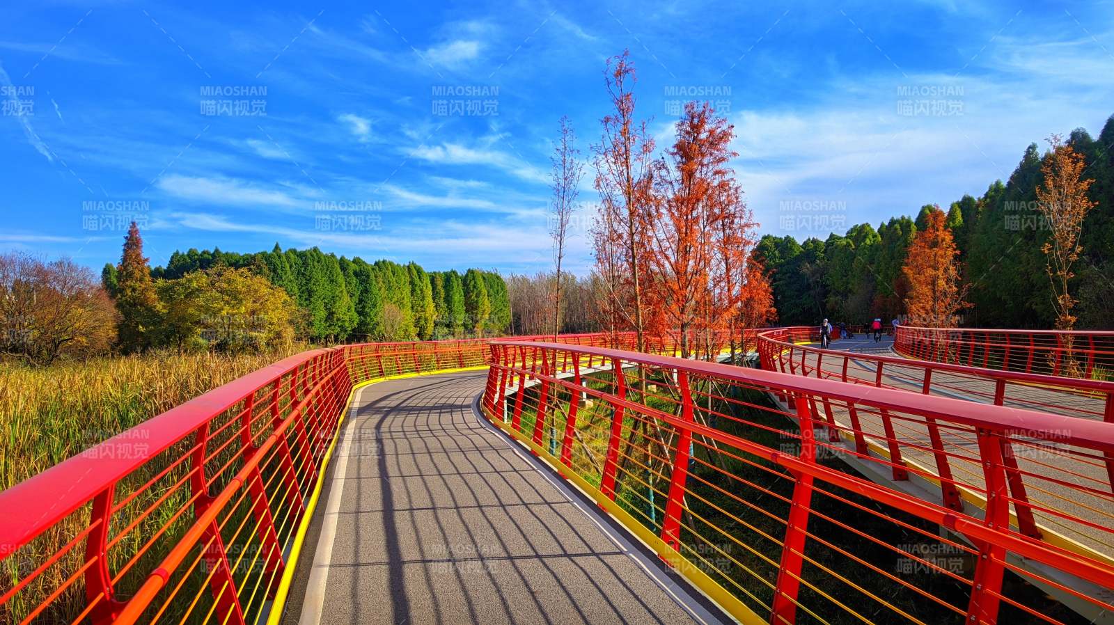 昆明滇池绿道水之桥秋日美景图片