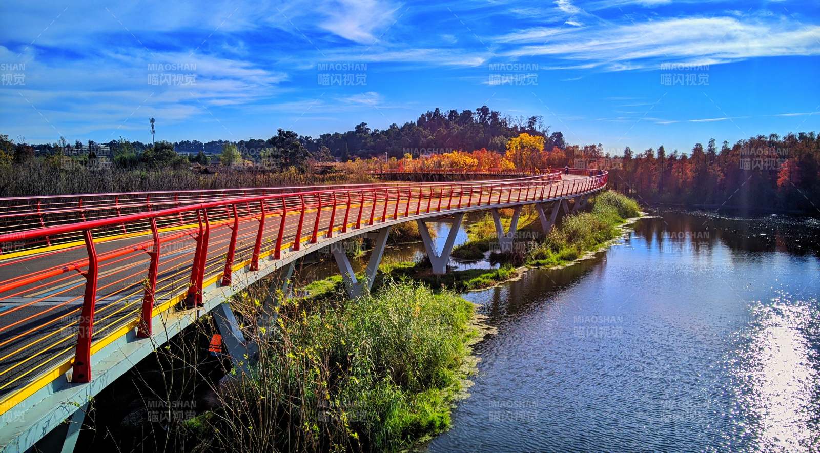 昆明滇池绿道水之桥秋日美景图片