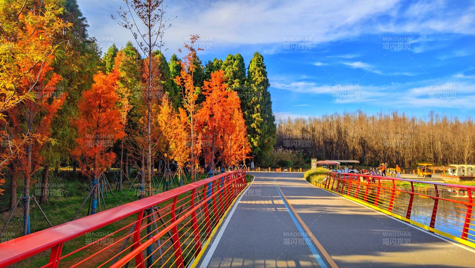 昆明滇池绿道水之桥秋日美景图片