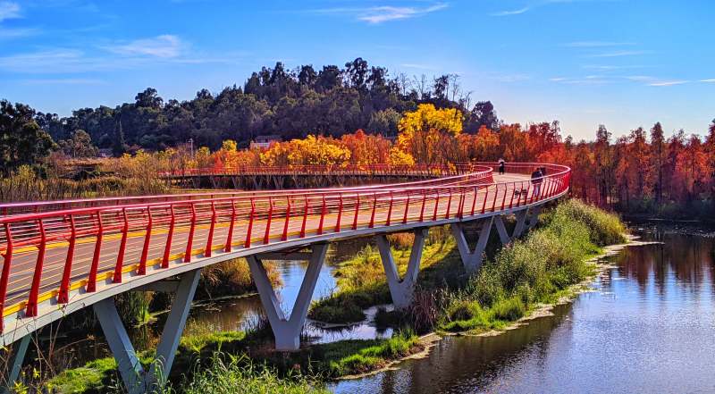 昆明滇池绿道水之桥秋日美景图片