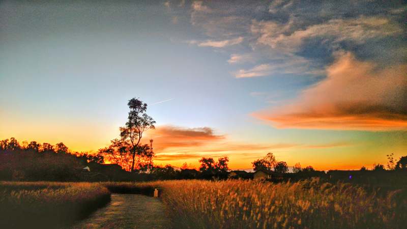 夕阳下的田野小径图片