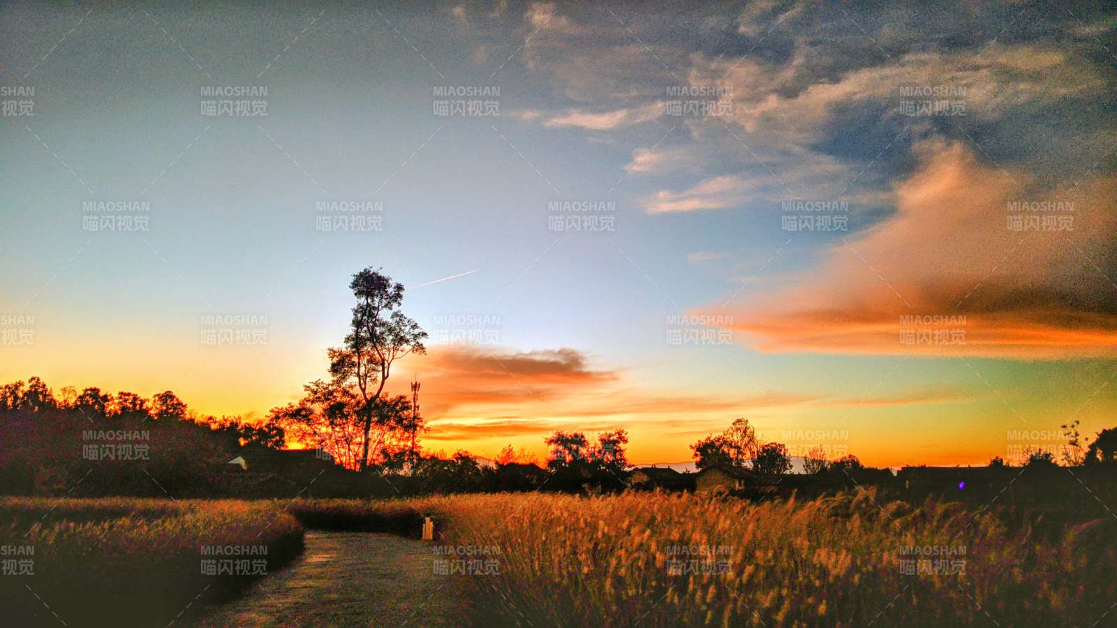 夕阳下的田野小径图片