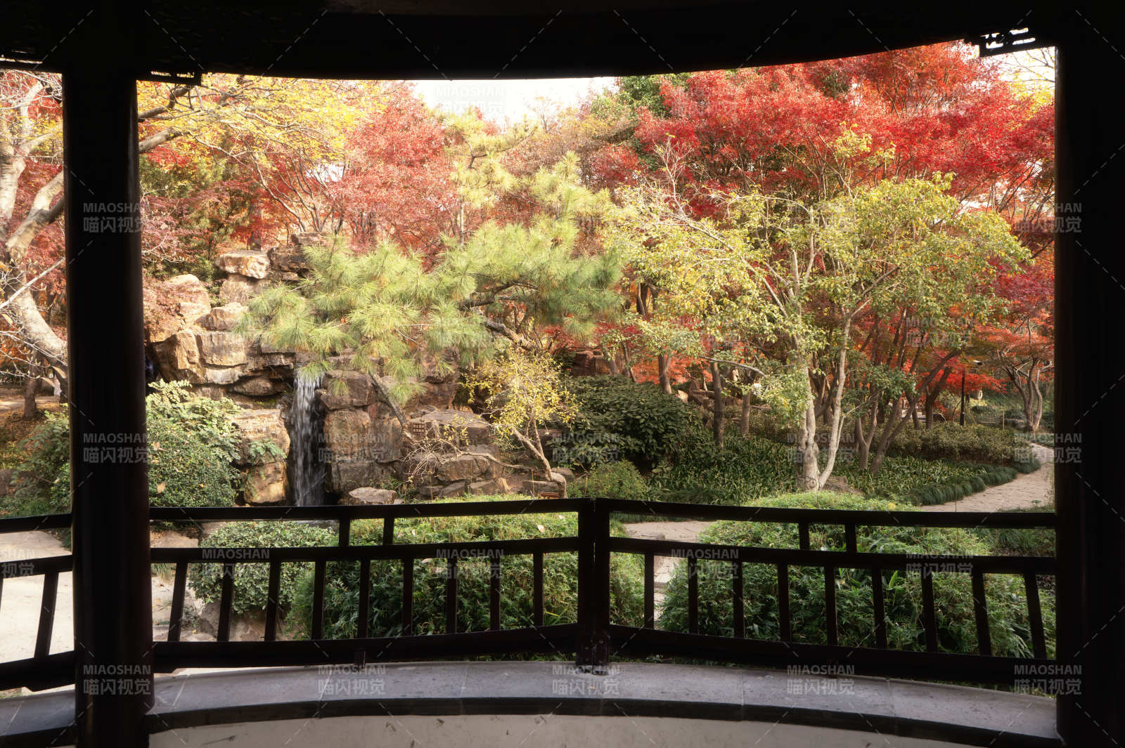 秋园红叶景图片