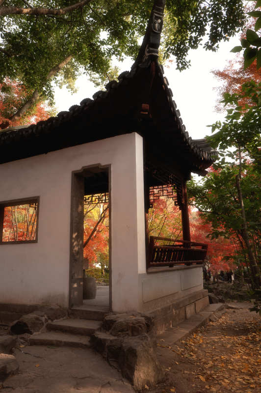 秋色中的古亭图片