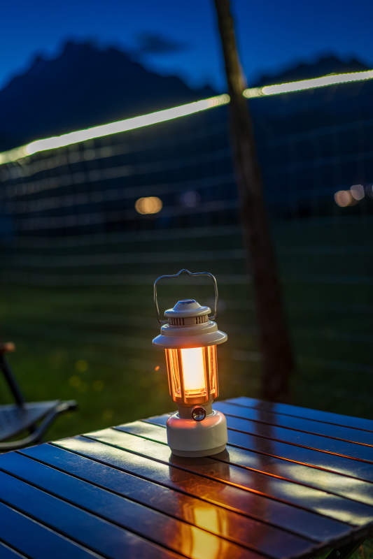 夜灯静照庭院图片