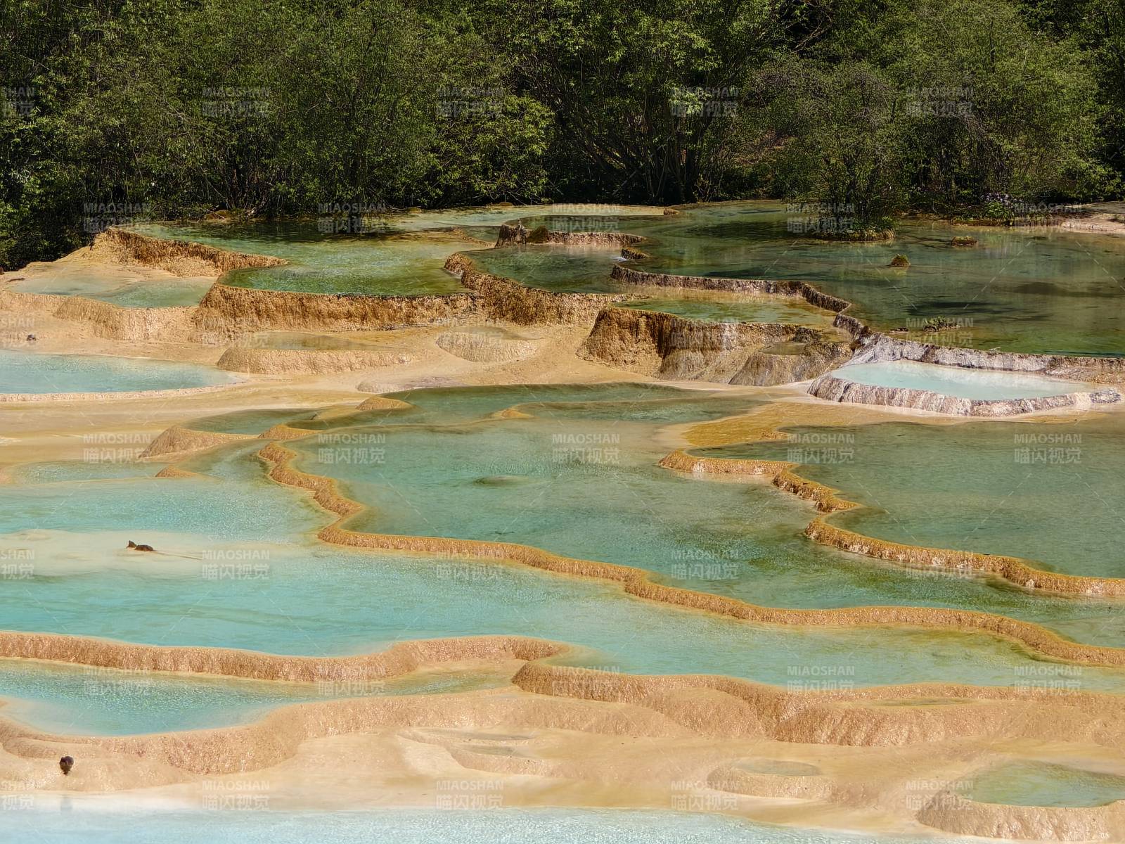 彩池叠翠 黄龙景区图片