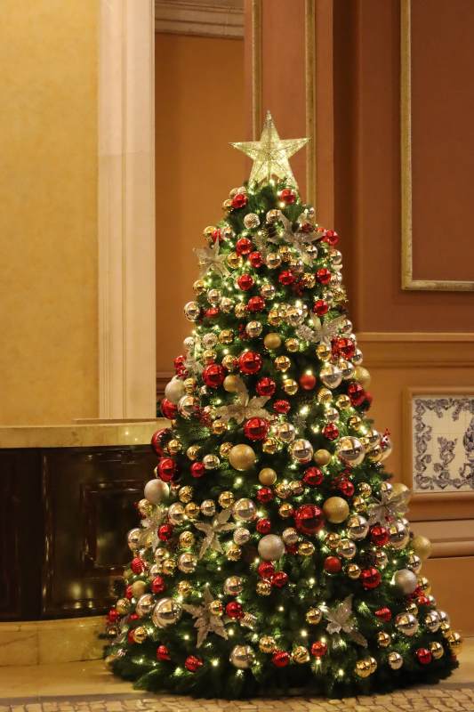 璀璨圣诞树图片