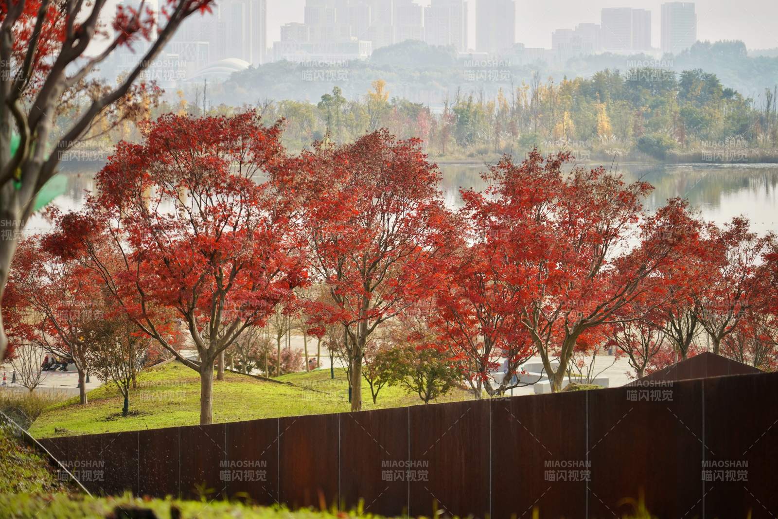 秋色湖畔红叶景图片