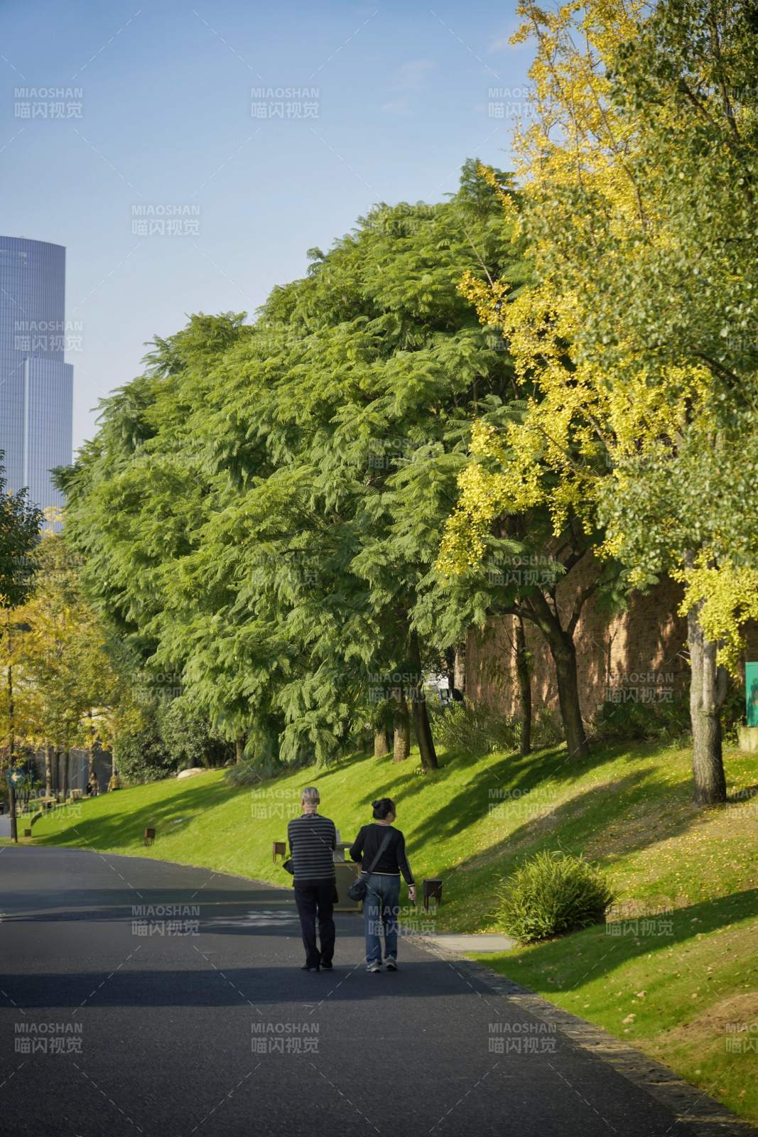 秋日公园散步图片