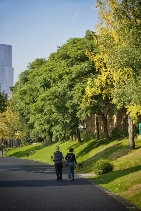 秋日公园散步图片