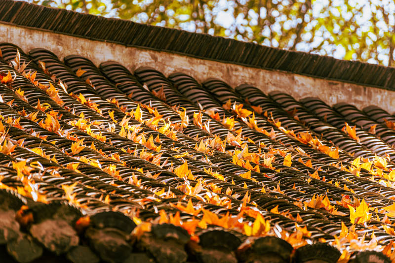 秋叶铺瓦顶图片