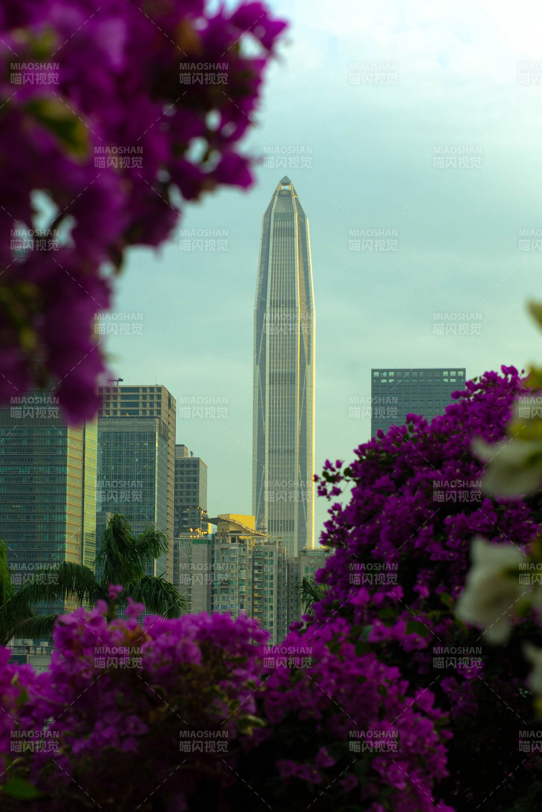 深圳莲花山遥望平安大厦图片