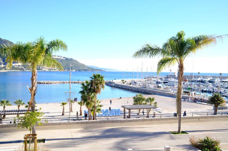 法国南部 海滨风光 棕榈摇曳图片