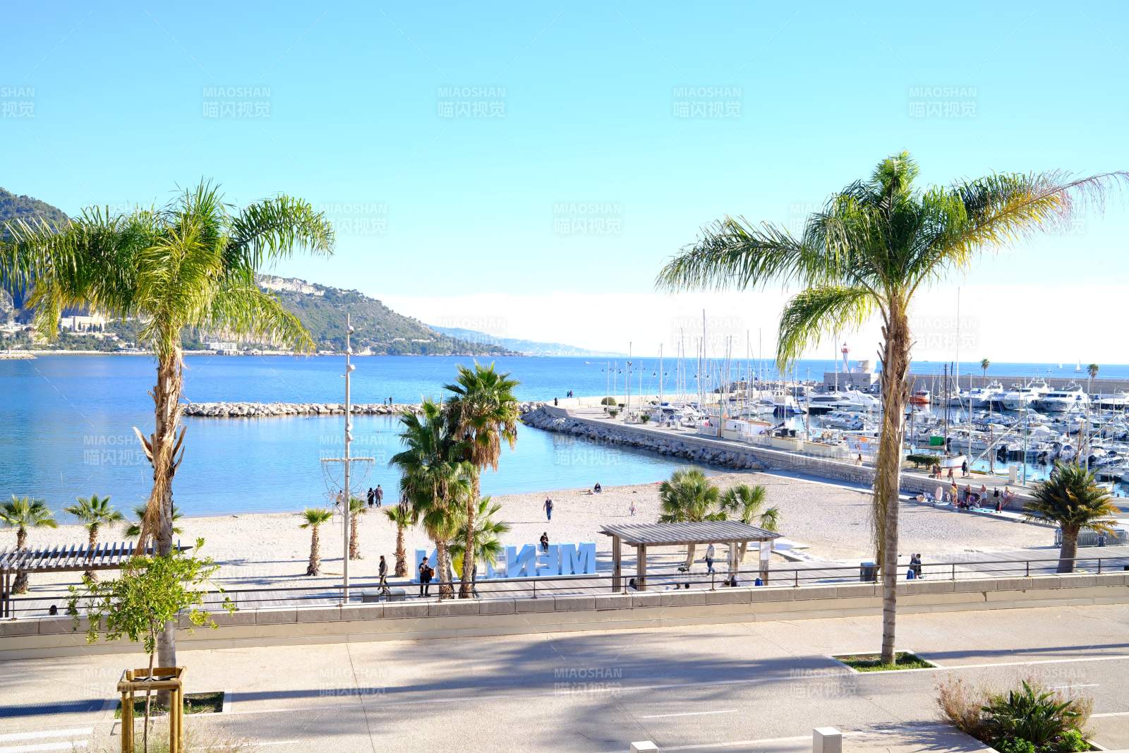 法国南部 海滨风光 棕榈摇曳图片