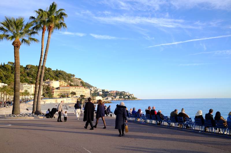 南法海滨棕榈风光图片