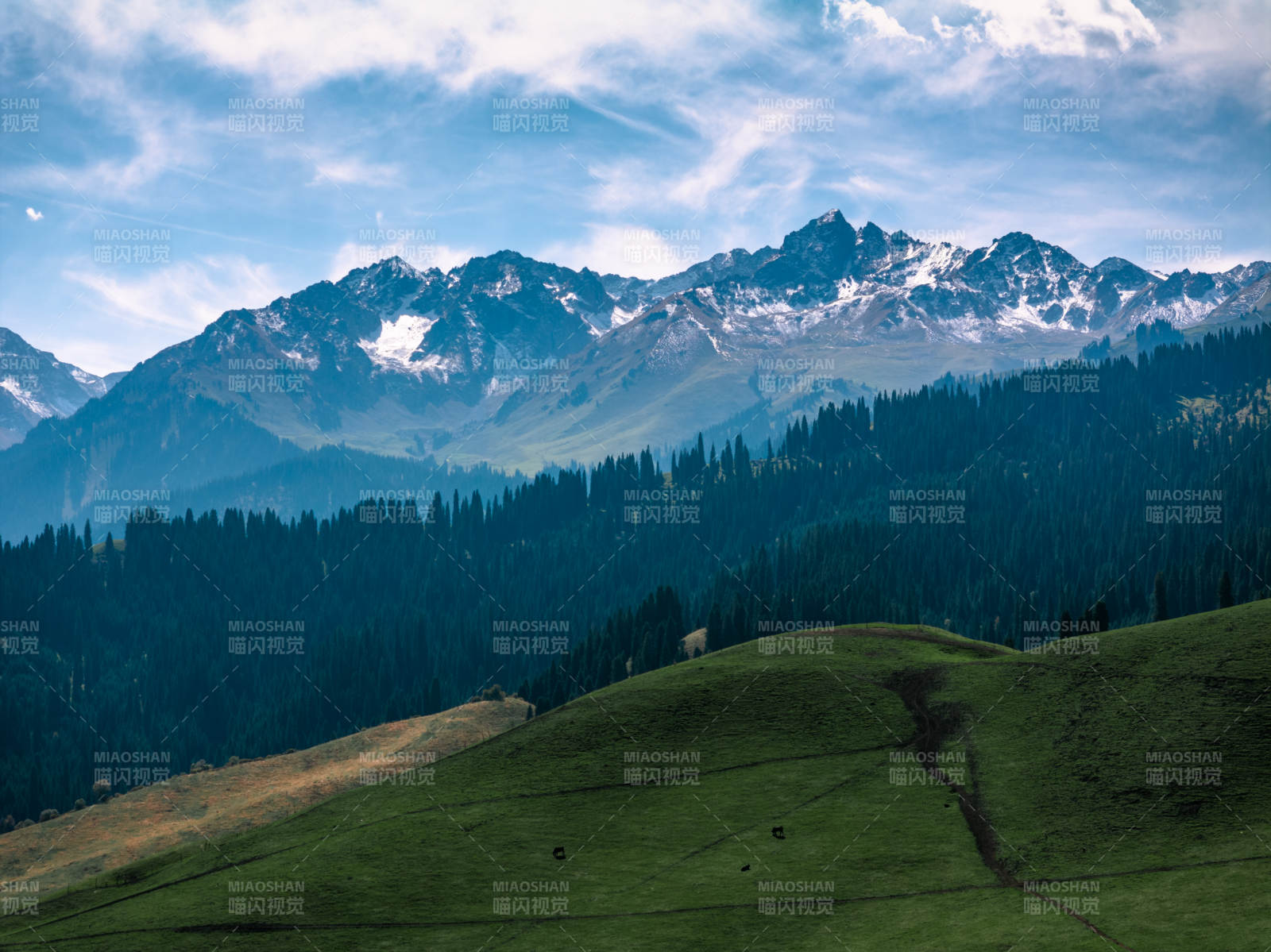 雪山绿野风光图片