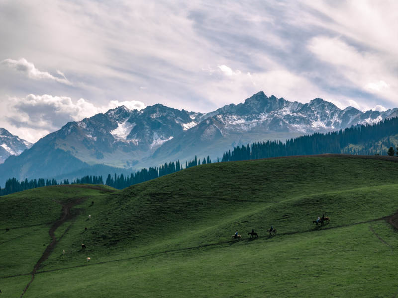 雪山草原骑马图图片