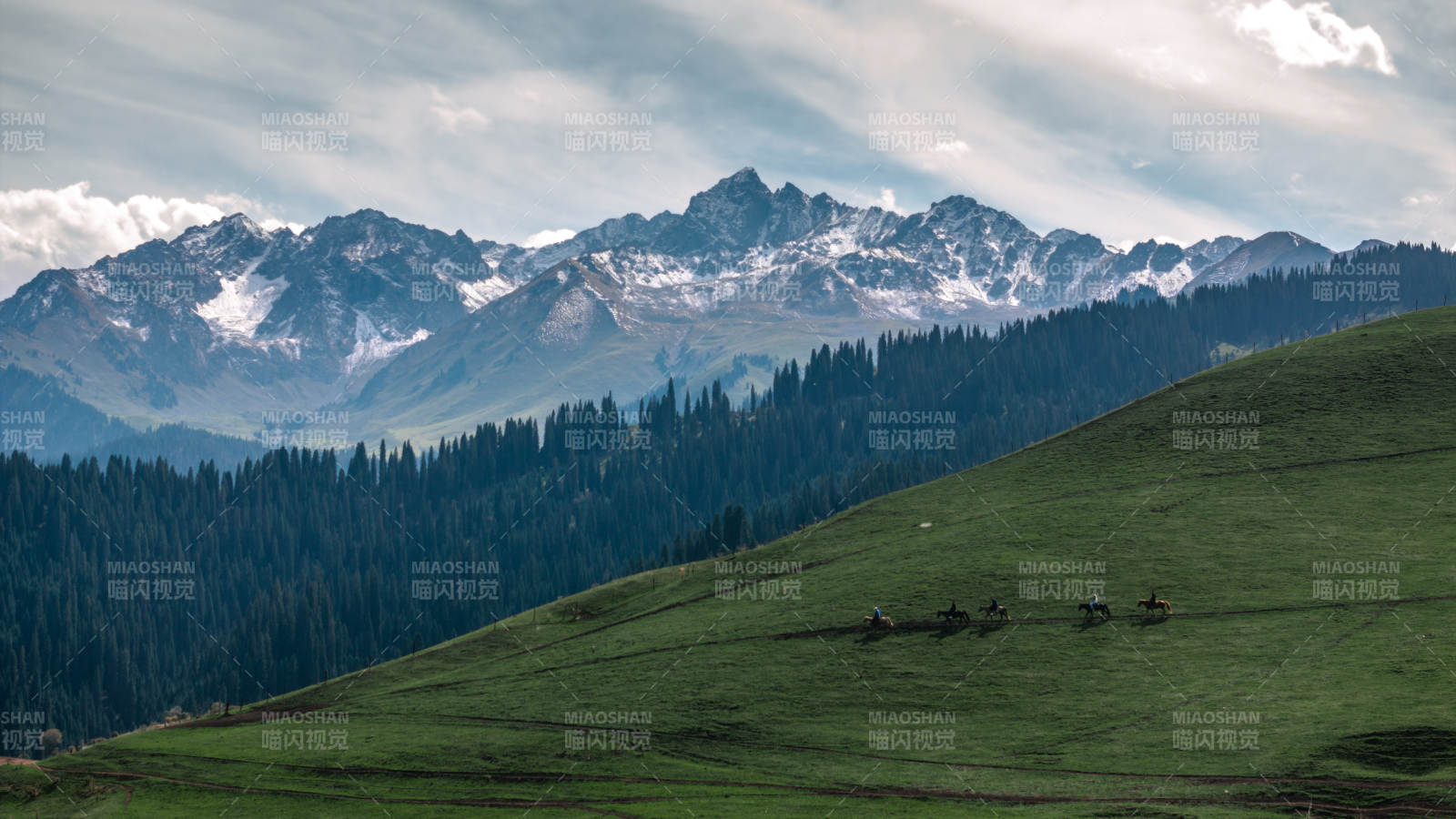 雪山草原骑马图图片
