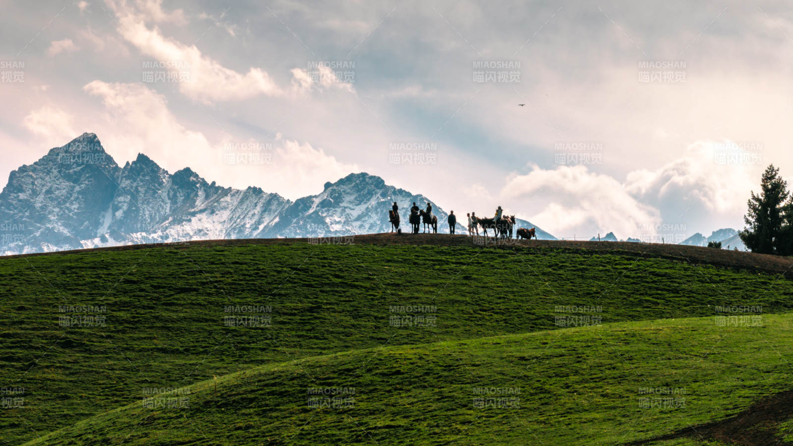 雪山绿野行旅图图片
