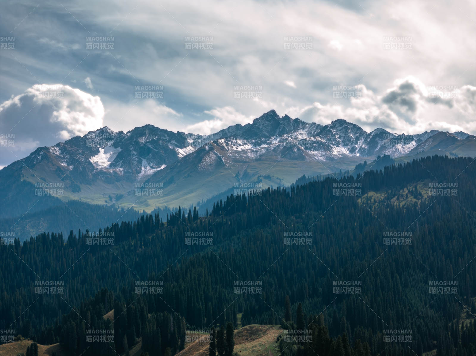 雪山森林风光图片