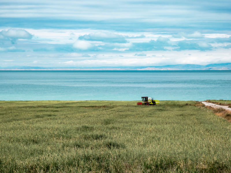湖畔耕作图图片