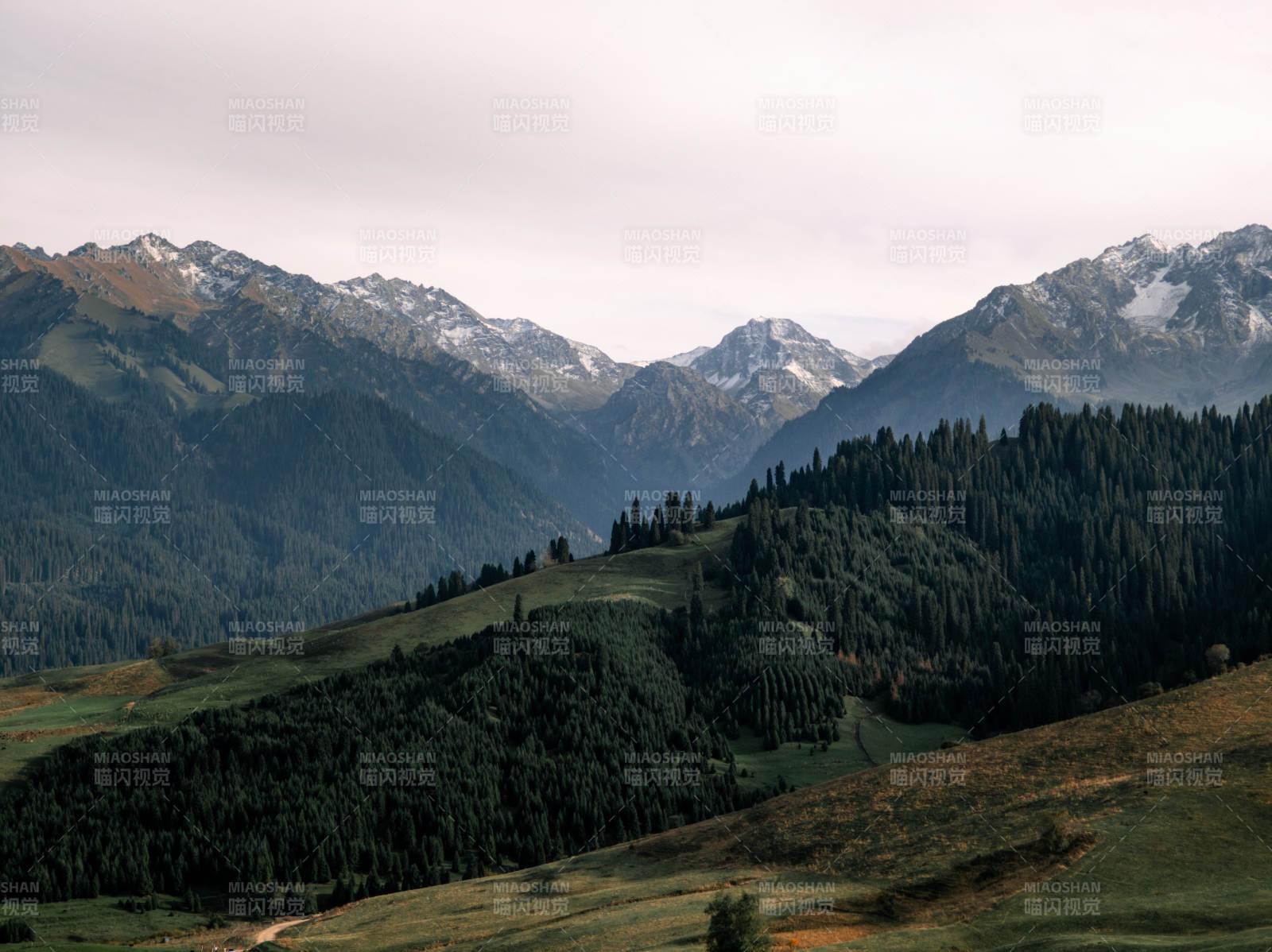 雪山林海风光图片