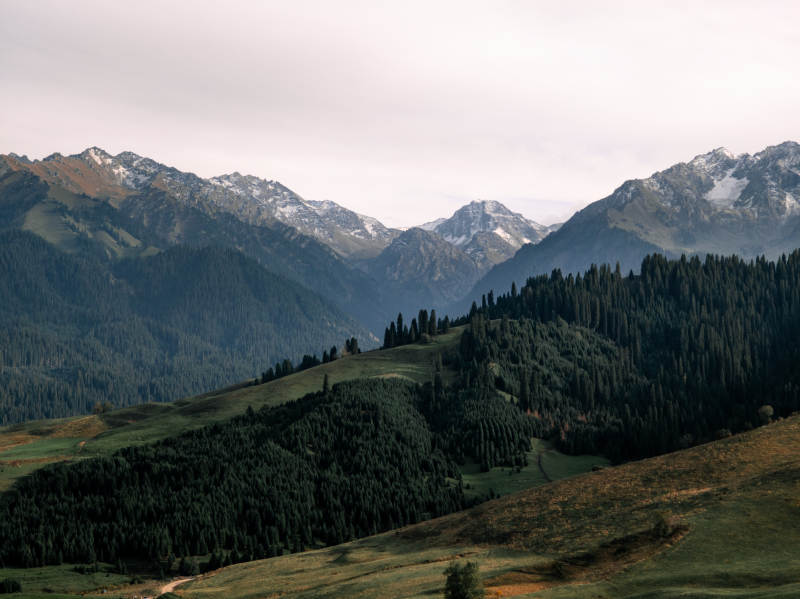 雪山林海风光图片