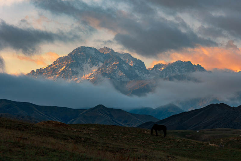 雪山暮色牧马图图片