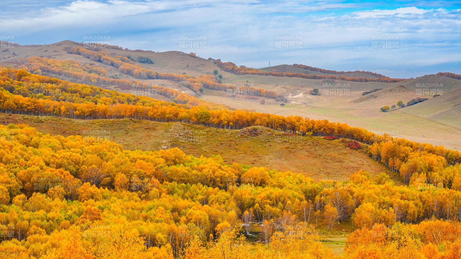 乌兰布统秋日山林金黄景图片