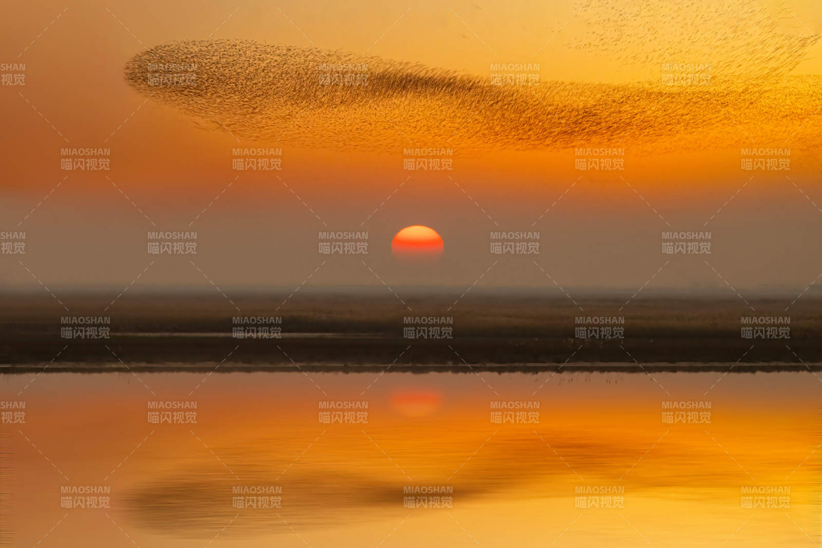 东营夕阳鸟浪图片