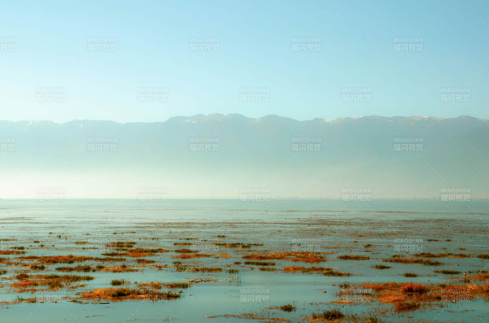 洱海苍山湿地晨雾图片