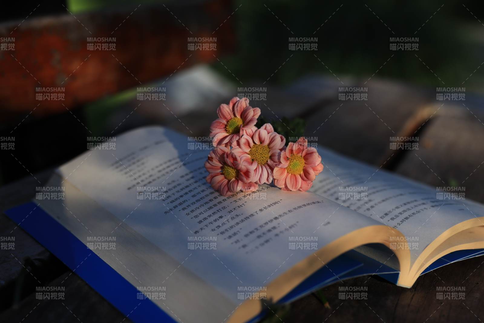 书页上的小花图片